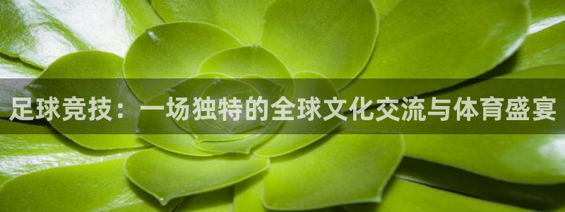  意昂2如何注册开户：足球竞技：一场独特的全球文化交流与体育盛