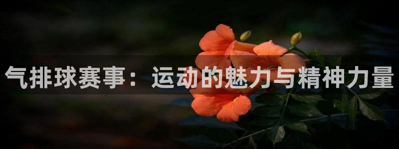  意昂2官网：气排球赛事：运动的魅力与精神力量