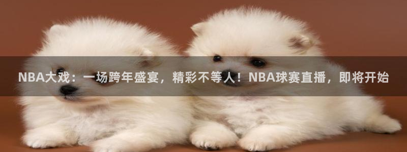 意昂2体育平台：NBA大戏：一场跨年盛宴，精彩不等人！NBA