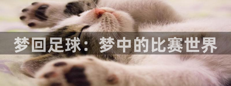 意昂2代理注册：梦回足球：梦中的比赛