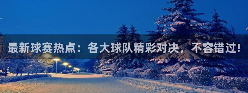 意昂2登录：最新球赛热点：各大球队精