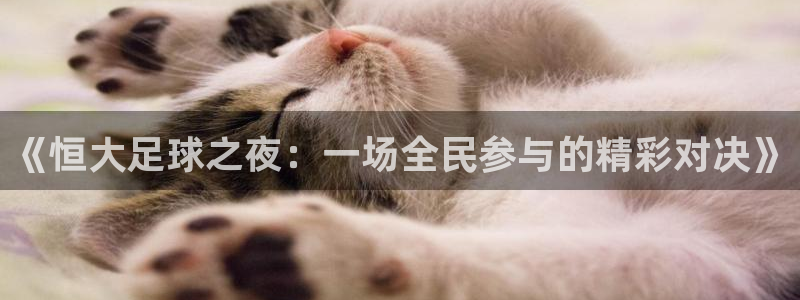 意昂2开户：《恒大足球之夜：一场全民参与的精彩对决》