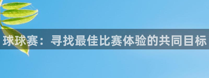  意昂2登录地址：球球赛：寻找最佳比赛体验的共同目标