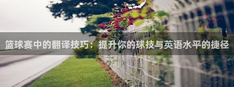  意昂2：篮球赛中的翻译技巧：提升你的球技与英语水平的捷径