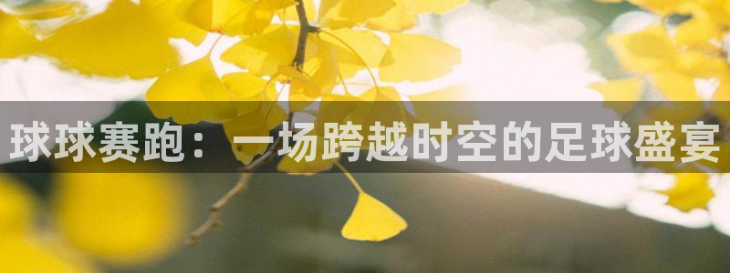 意昂2登录注册：球球赛跑：一场跨越时