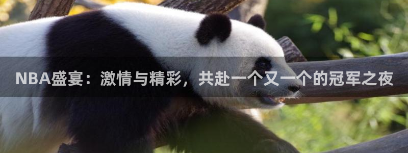 意昂2平台登录：NBA盛宴：激情与精
