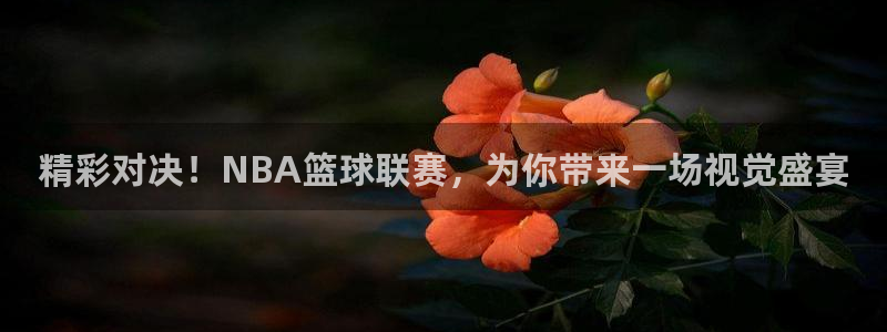 意昂2体育在线平台登录：精彩对决！NBA篮球联赛，为你带来一