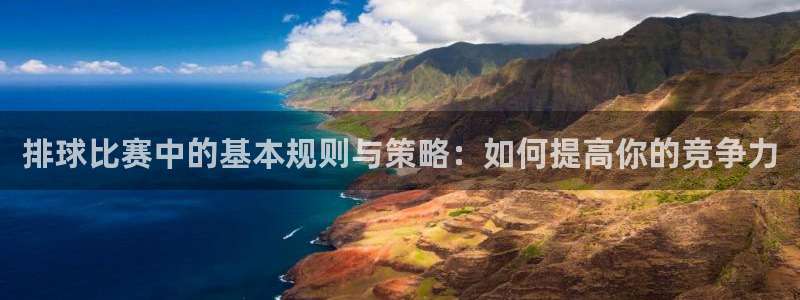 意昂2娱乐平台开户：排球比赛中的基本