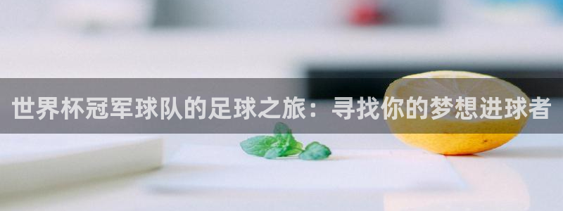 意昂2平台股东：世界杯冠军球队的足球