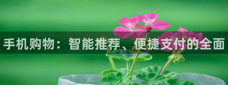 意昂2登录入口：手机购物：智能推荐、便捷支付的全面