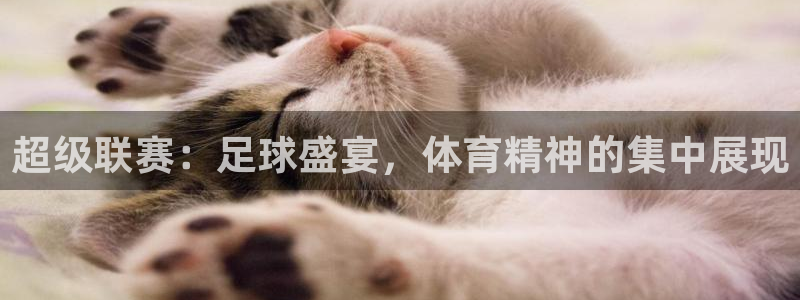 意昂2娱乐直属：超级联赛：足球盛宴，体育精神的集中展现