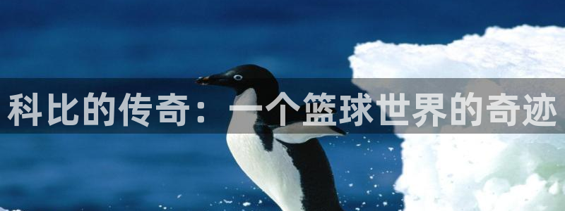  意昂2登录：科比的传奇：一个篮球世界的奇迹