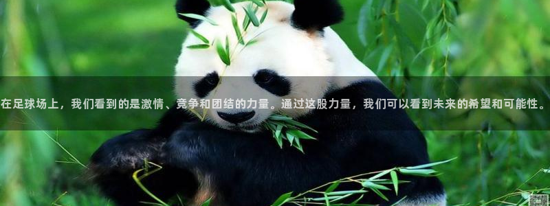 意昂2登录注册：在足球场上，我们看到