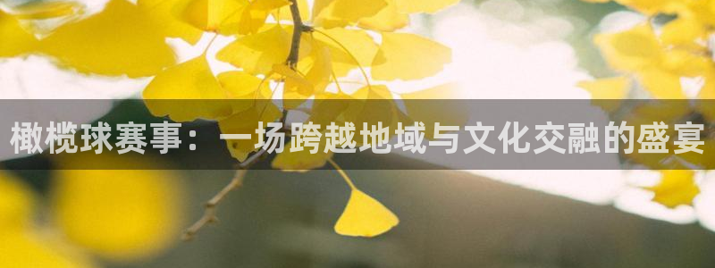  意昂2平台怎么样：橄榄球赛事：一场跨越地域与文化交融的盛宴