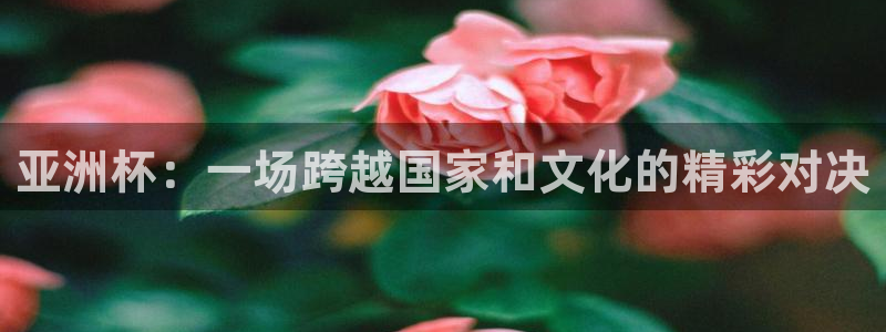 意昂2意昂2平台：亚洲杯：一场跨越国家和文化的精彩对决