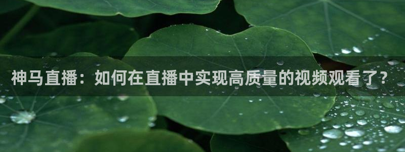直播吧足球新闻资讯：神马直播：如何在直播中实现高质量的视频观看了？