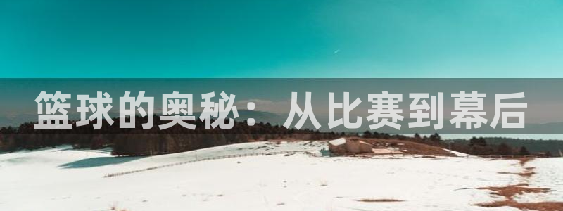 手机版体育直播吧：篮球的奥秘：从比赛到幕后