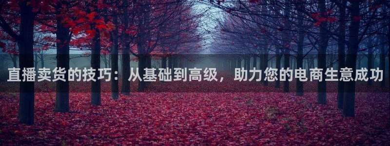 柠檬直播吧足球：直播卖货的技巧：从基础到高级，助力您的电商生意成功