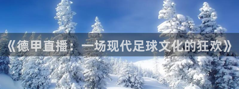 361体育直播吧：《德甲直播：一场现代足球文化的狂欢》