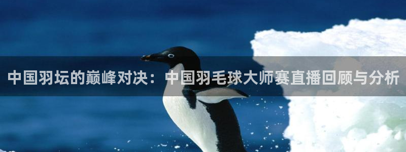 nba直播吧录像高清回放像：中国羽坛的巅峰对决：中国羽毛球大师赛直播回顾与分析