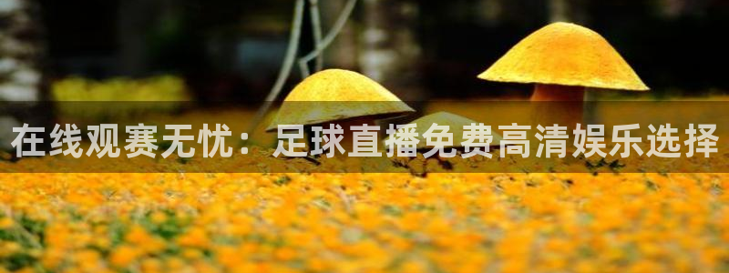 88看球nba直播吧：在线观赛无忧：足球直播免费高清娱乐选择