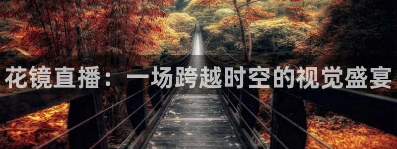 cba篮球直播吧：花镜直播：一场跨越时空的视觉盛宴