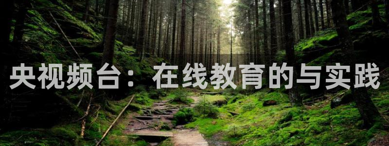 直播吧球赛：央视频台：在线教育的与实践