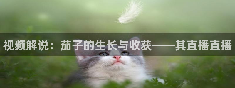 乐球吧jrs直播吧：视频解说：茄子的生长与收获——其直播直播