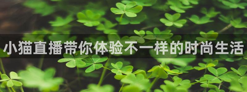 nba直播吧低调看球：小猫直播带你体验不一样的时尚生活