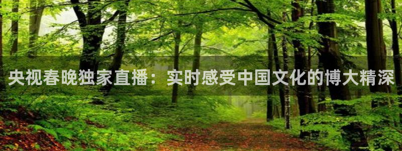 jrs看直播吧：央视春晚独家直播：实时感受中国文化的博大精深